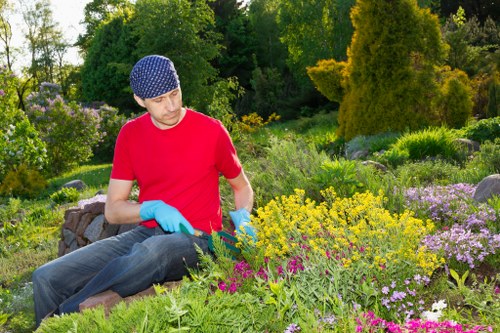 Regular grass cutting benefits for London landscaping
