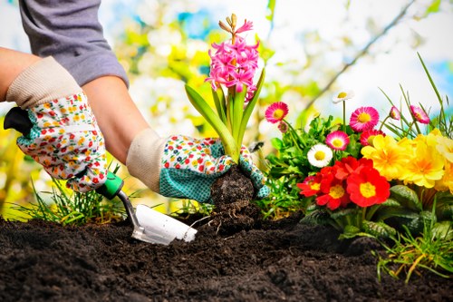 Creative hardscaping solutions for Islington homes