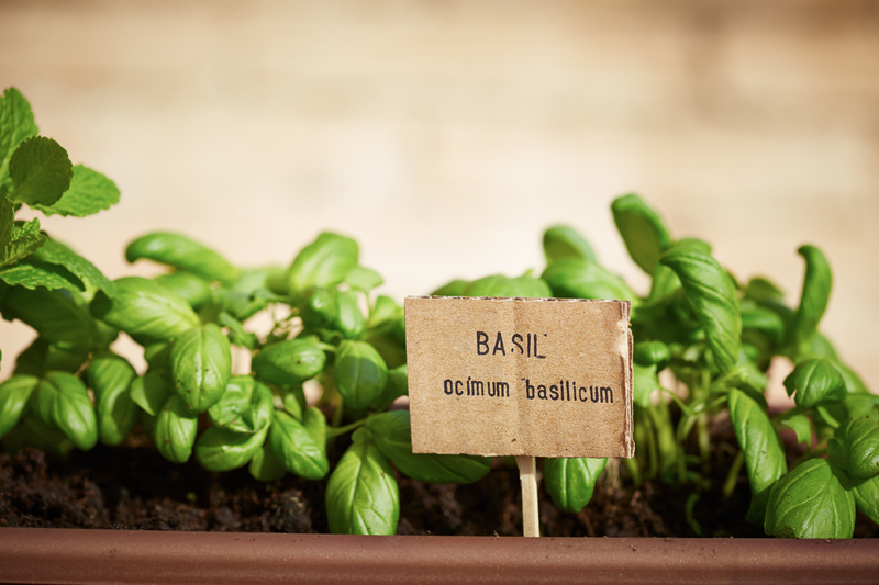 lawn care garden