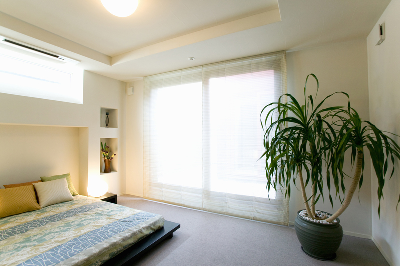 garden maintenance garden