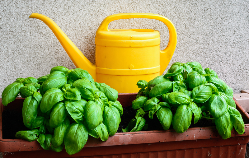 Garden planting